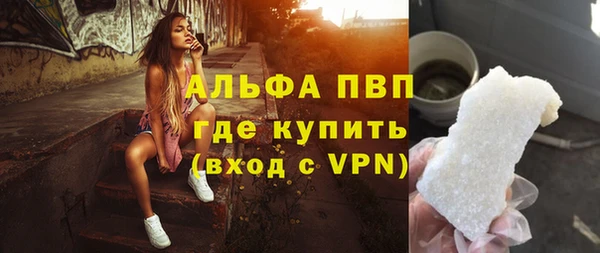 гашик Арсеньев