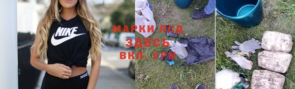 ПСИЛОЦИБИНОВЫЕ ГРИБЫ Аркадак