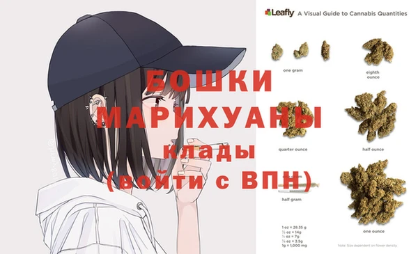 гашик Арсеньев