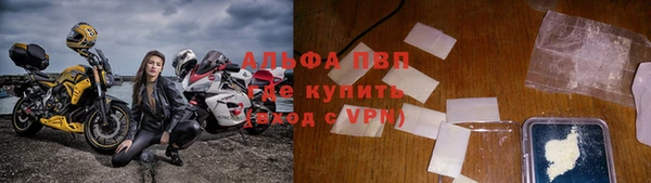 ПСИЛОЦИБИНОВЫЕ ГРИБЫ Аркадак