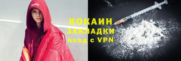 гашик Арсеньев