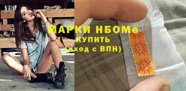 гашик Арсеньев