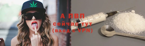 ПСИЛОЦИБИНОВЫЕ ГРИБЫ Аркадак