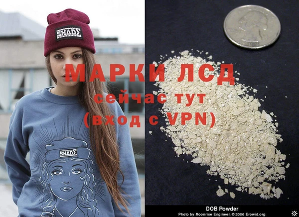 гашик Арсеньев