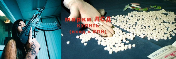 ПСИЛОЦИБИНОВЫЕ ГРИБЫ Аркадак