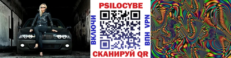 закладка  Краснослободск  Псилоцибиновые грибы прущие грибы 